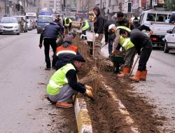 Giresun'da Çimlendirme Ve Peyzaj Çalışması Sürüyor