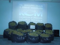 SİVEREK’TE 147 KİLOGRAM ESRAR ELE GEÇİRİLDİ!