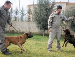 Polisten Şafak Vaktinde Operasyon