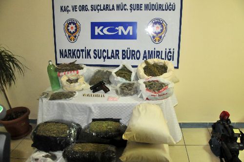 Köpek Dany UYUŞTURUCU ŞEBEKESİNİ ÇÖKERTTİ!