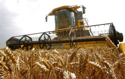 Buğdayda Gümrük % 0