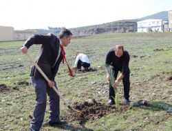 Mustafa Kemal Üniversitesi'nde Vergi Haftası'nda Fidan Dikimi