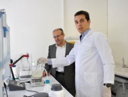 Sdü'de Dikensiz Gül Üretildi
