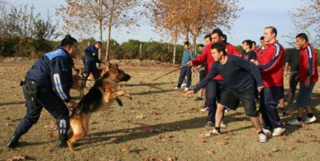 Operasyonların Gizli Kahramanları Özenle Büyütülüyor