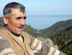 Ordulu Arıcılar Ormanda Konaklama Yeri İstiyor