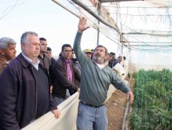 Biber Fiyatları Yarıya Düşünce Üretici Çileden Çıktı
