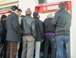 Göle'de Yem Bitkisi Primleri Ödeniyor