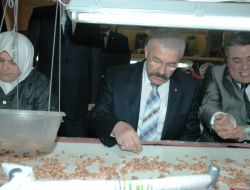 Vali Cerrah Fıstık Fabrikasında İncelemelerde Bulundu