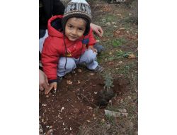Hatay'da 2 Bin 500 Fidan Toprakla Buluşturuldu