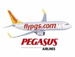 Gurbetçiye Konya'dan Frankfurt'a Uçma Kolaylığı