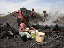 Anadolu Kadını İçin 8 Mart, Daha Çok İş Daha Çok Çalışma Demek