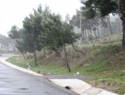 İzmir'de Kar Ve Tipi Devam Ediyor!!