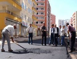 Kayapınar Belediyesi 75 Bin Metrekarelik Alanı Asfaltlayacak