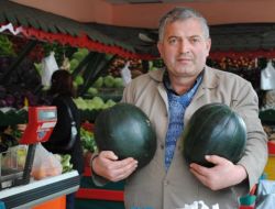 İran Karpuzu, 4 Liradan Alıcı Buluyor