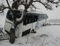 Yoldan Çıkan Yolcu Otobüsü, Ağaca Çarpınca Devrilmekten Kurtuldu
