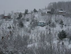 Zonguldak'ta 123 Köy Yolu Ulaşıma Kapandı