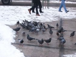 Çorlu'da Kar Yağışı Durdu, Sarkıtlar Oluştu