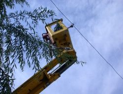 Düzeltme.. Elektrik Kablosuna Asılı Kalan Güvercini Kurtarmak İçin Seferber Oldular