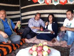Gülnar, Elma Ve Üzümünü Festivalle Tanıttı