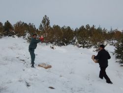 Yaban Hayvanlarına Yem Bırakıldı