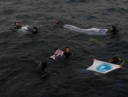 Sualtı Belgeselcisi Haluk Cecan Anısına Dalış Yapıldı