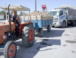 Afyonkarahisar'da 33. Dönem Pancar Alımları Başladı