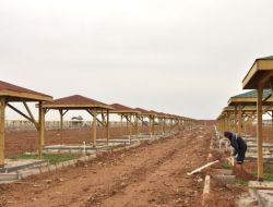 Hobi Bahçeleri'nde Herkes İstediğini Ekip Biçebilecek