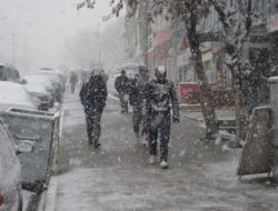 Muş’ta Kar Yağışı Etkisini Sürdürüyor