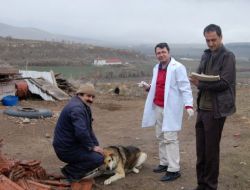 Kedi Ve Köpekler Kuduza Karşı Aşılanıyor