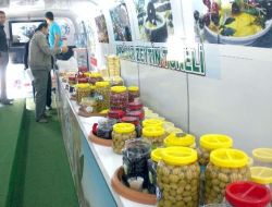 Manisa İl Genel Meclisi Başkanı Yıldız: Akhisar Zeytinde Dünya Merkezi Olmalı