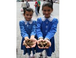 3. Yeşilüzümlü Mantar Festivali 8 Nisan’da Başlıyor