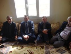 Kızıltepe Ovası'nda Buğdayda Pas Hastalığı Tehlikesi