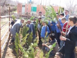 17 Yıldır Ağaç Hasreti Çeken Okul Fidana Kavuştu