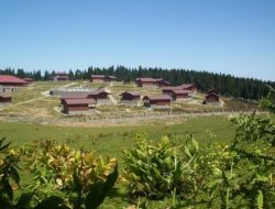 İhaleye Çıkan Kayabaşı Yayla Kentin Yeni Sahibi Belli Oldu