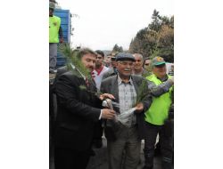 Muğla'da 6 Bin Fidan Dağıtıldı