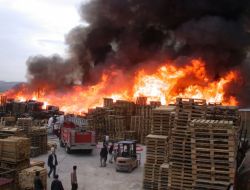 Sakarya’da Palet İmalathanesinde Yangın Çıktı