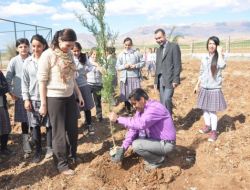 Silopi’de Kız Öğrenciler Fidan Dikti