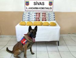 SİVAS'TA UYUŞTURUCU OPERASYONU