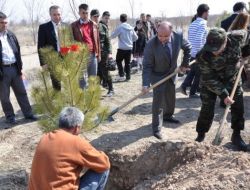 Iğdır'da Nevruz Nedeniyle Fidan Dikildi