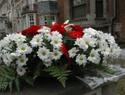 ŞEHİTLER BRÜKSEL’DE ANILDI!