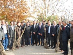 Tarımsal Destek Alan Çiftçiler Alternatif Ürüne Yöneliyor