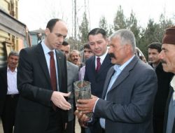 Dargeçit’te Çiftçilere 5 Bin 500 Fidan Dağıtıldı