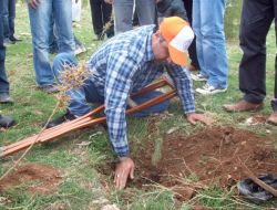 Derik’te Bin 500 Çam Fidanı Toprakla Buluştu