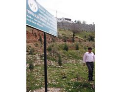 Mutluluk Ormanı'na 3 Bin 500 Fidan Dikildi