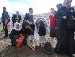 Yaşlılarla Birlikte Fidan Diktiler