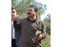 Bahşi: Ormanların Korunmasında 7'den 77'ye Herkeste Bilinç Olmalı