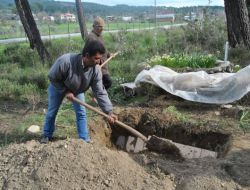 2,5 Aylık Songül Bebek İkinci Kez Defnedildi