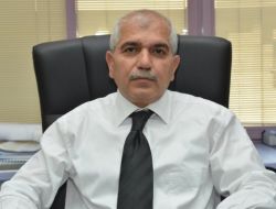 Denizli Belediyesi Sokak Hayvanlarına Sahip Çıkıyor