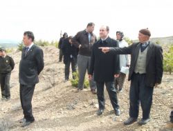 Emekli Gurbetçi, 14 Yılda Köyüne 25 Bin Fidan Dikti