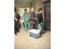 Gazetecinin Organları 6 Kişiye Hayat Verecek